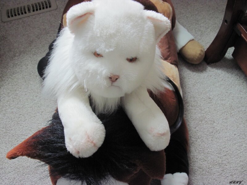 White Stuffed Cat — Calm