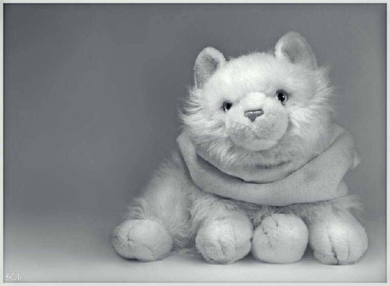 White Stuffed Cat