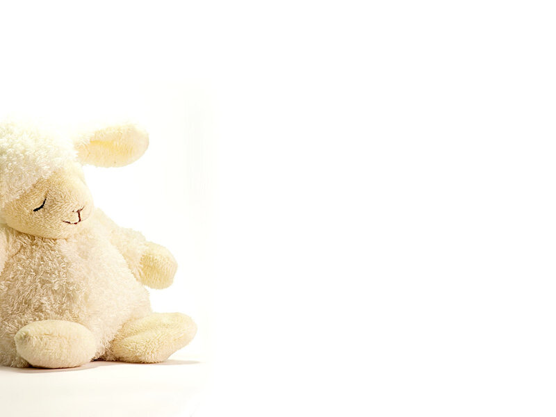White Stuffed Lamb