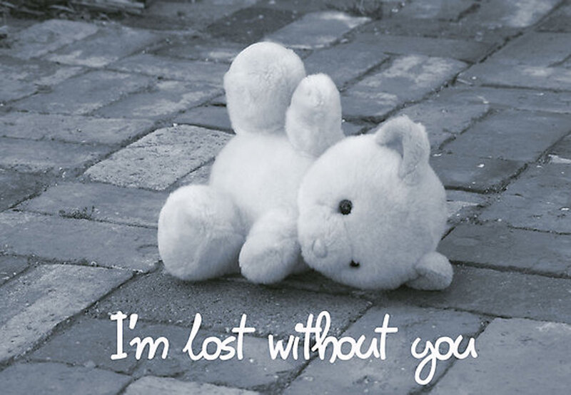 White Stuffed Rabbit