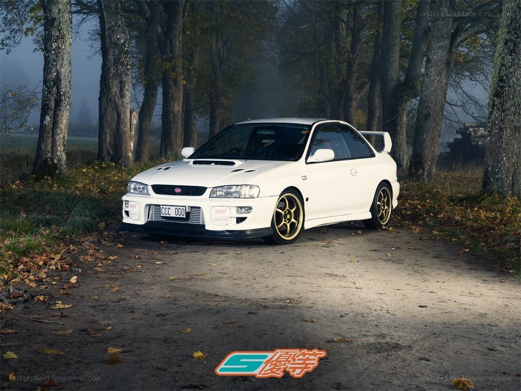 White Subaru in a forest