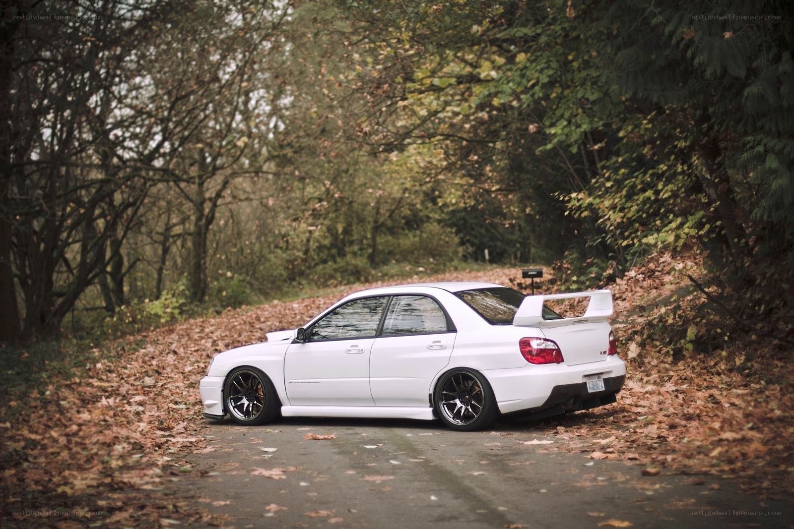 White Subaru in autumn forest