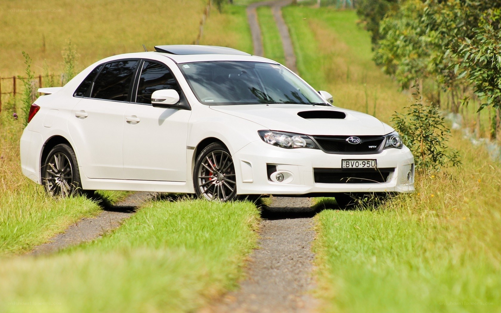 White Subaru on a country road