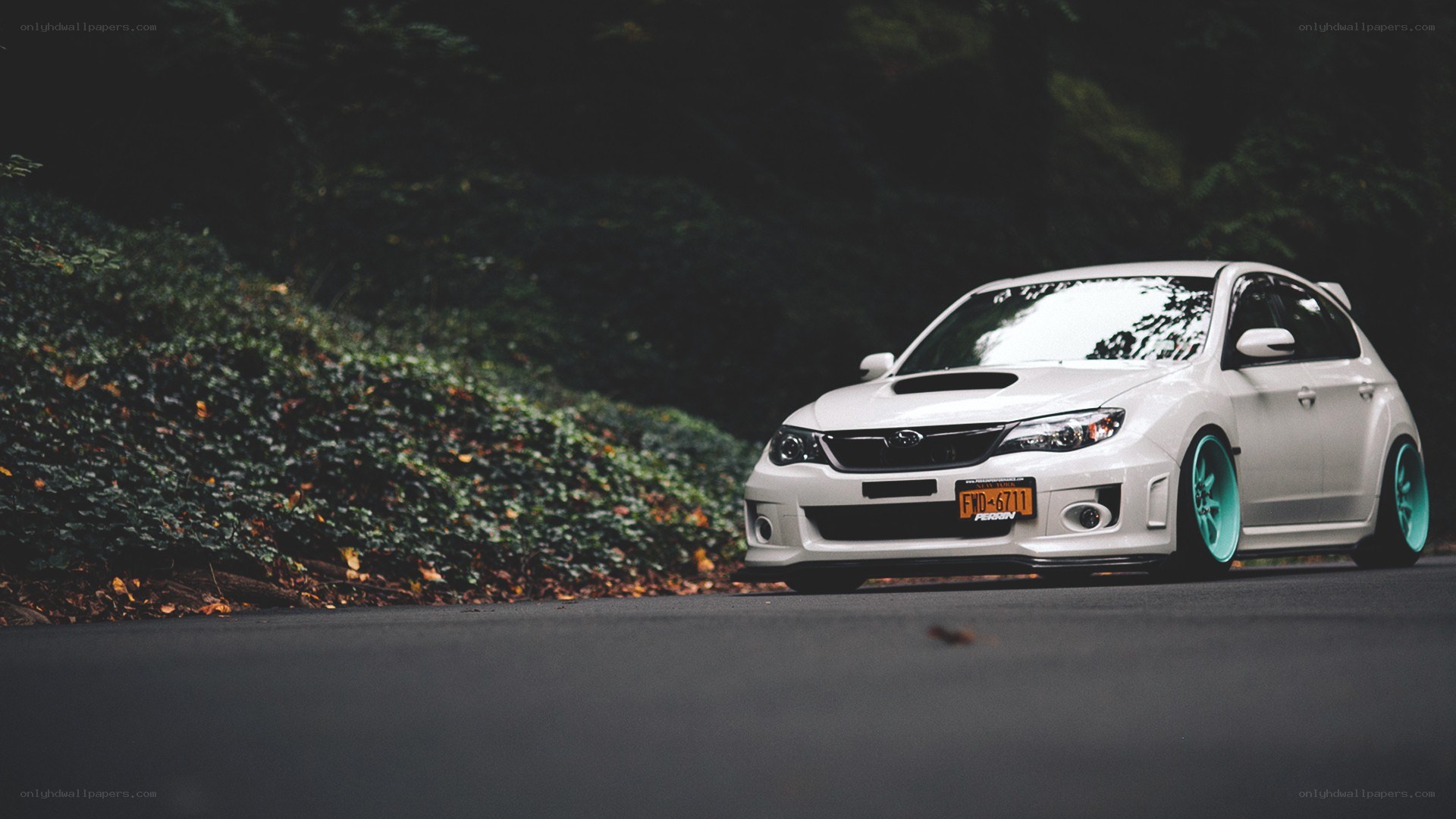 white subaru on a forest road