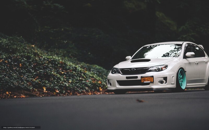 white subaru on a forest road
