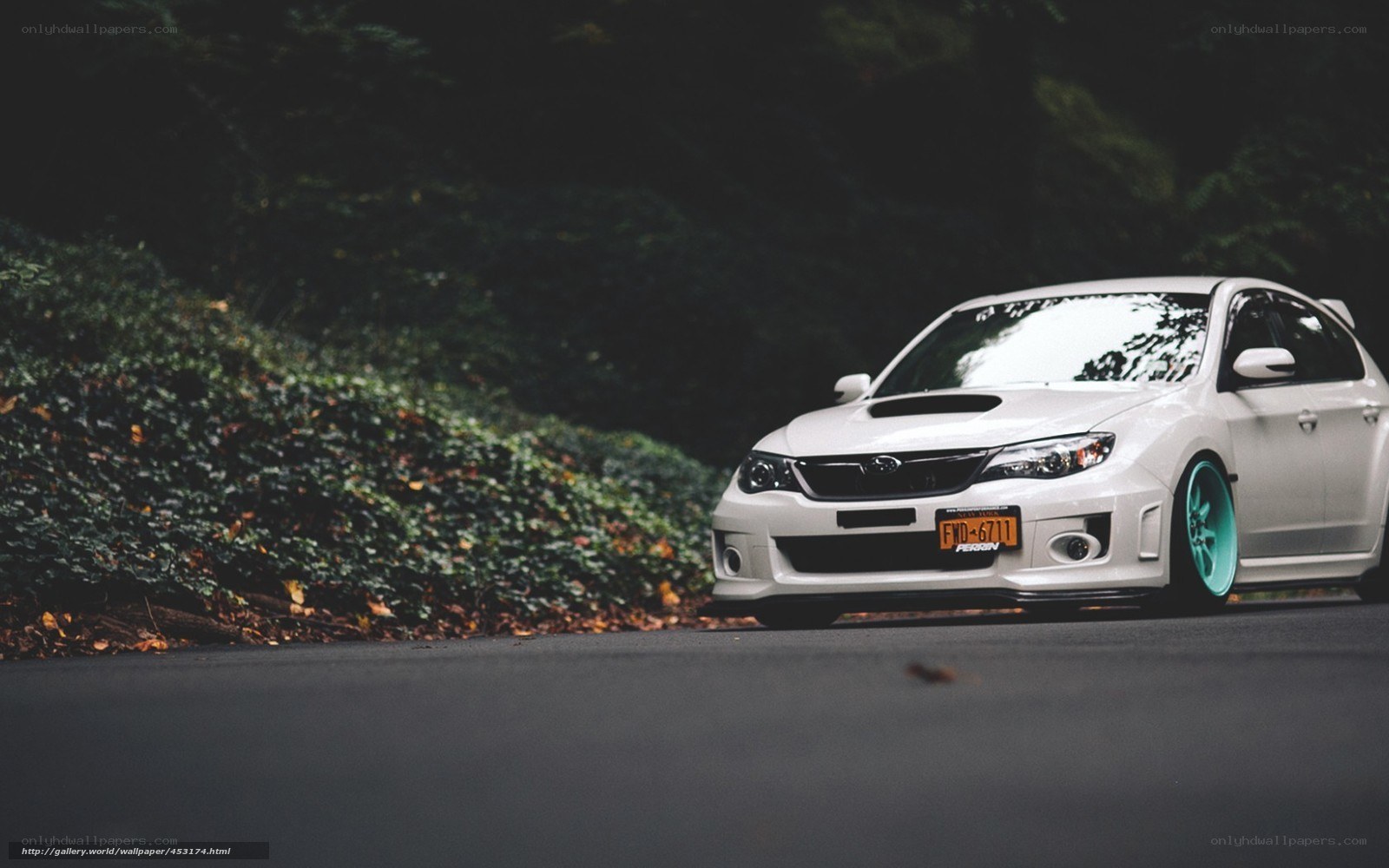 white subaru on a forest road