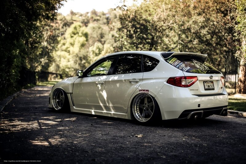 white subaru on a tree-lined road