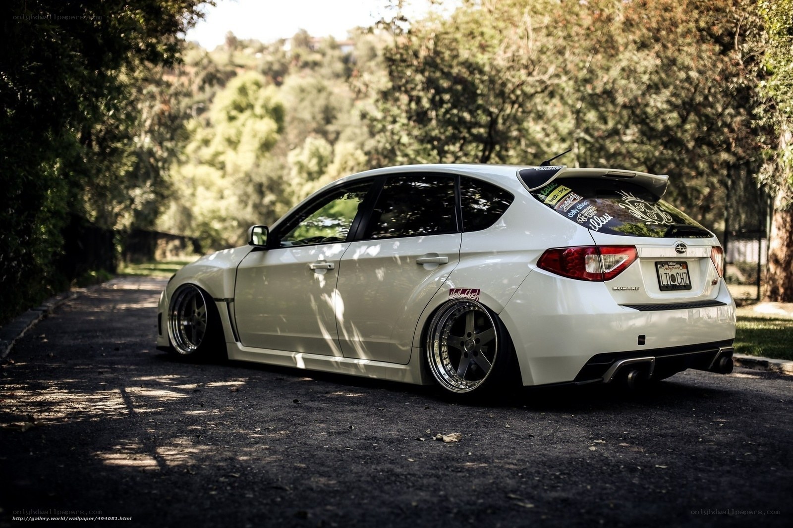 white subaru on a tree-lined road