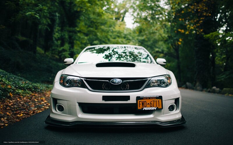 white subaru on forest road