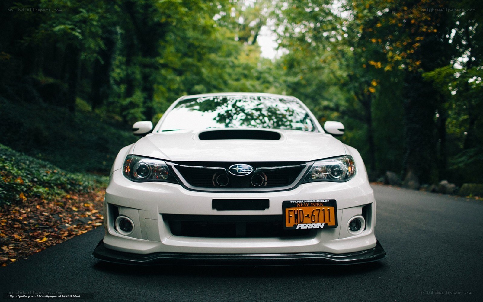 white subaru on forest road