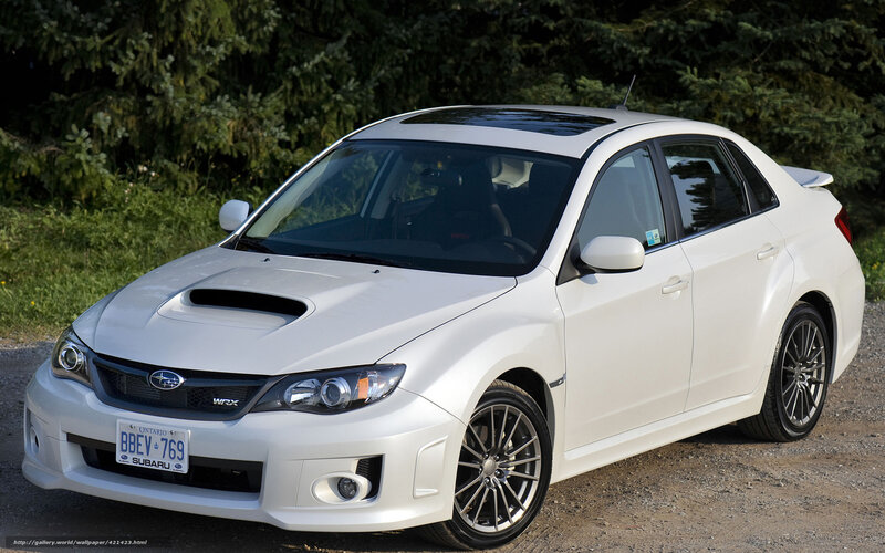 White Subaru Wrx Sedan — Calm