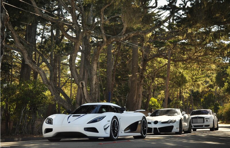 White supercars on a forest road