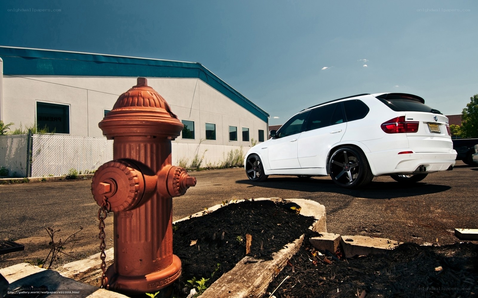 White SUV and fire hydrant