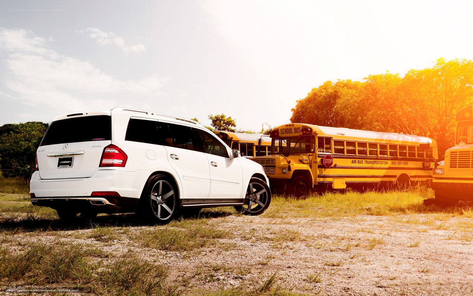 White SUV and school buses