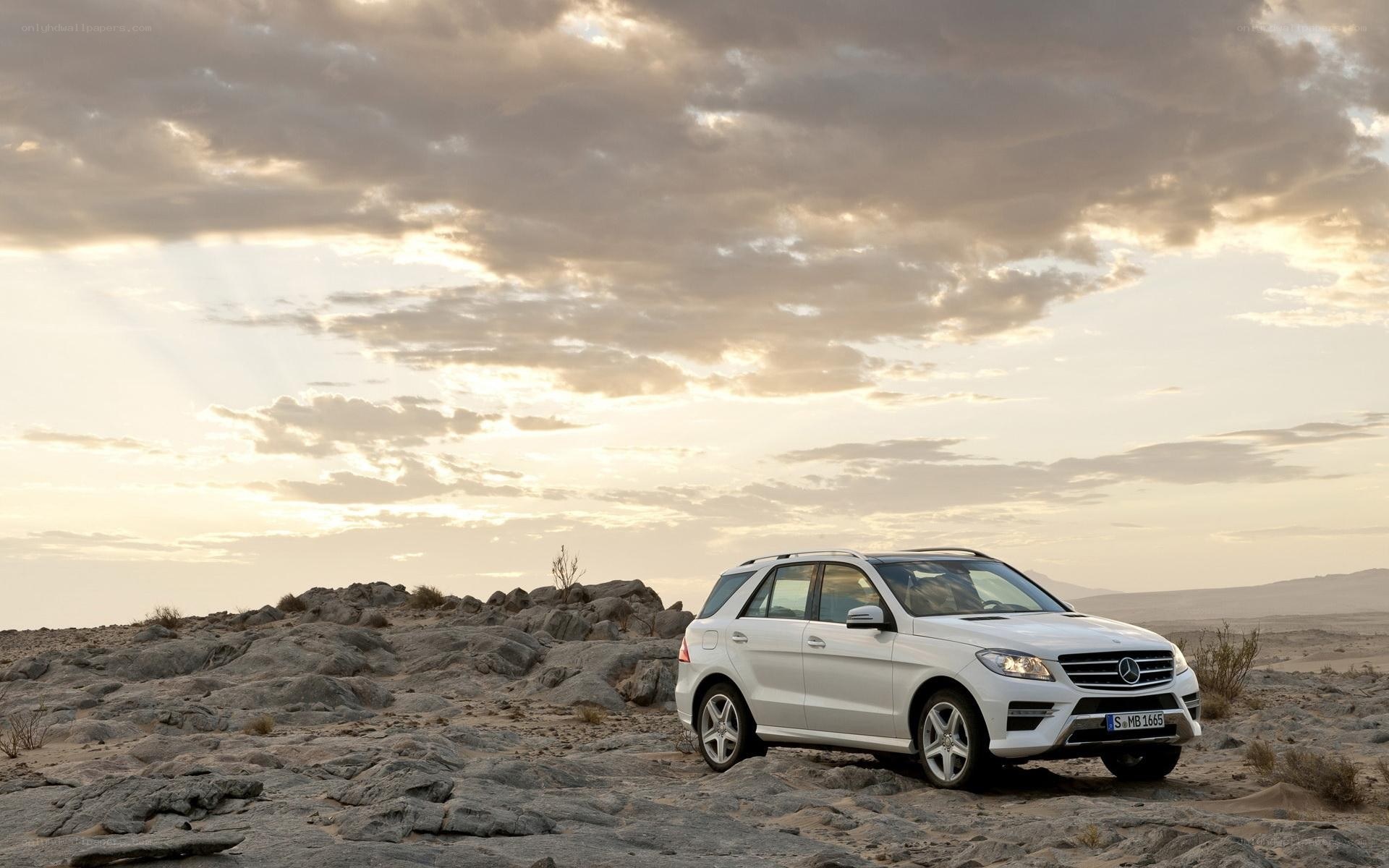 White SUV in desert landscape