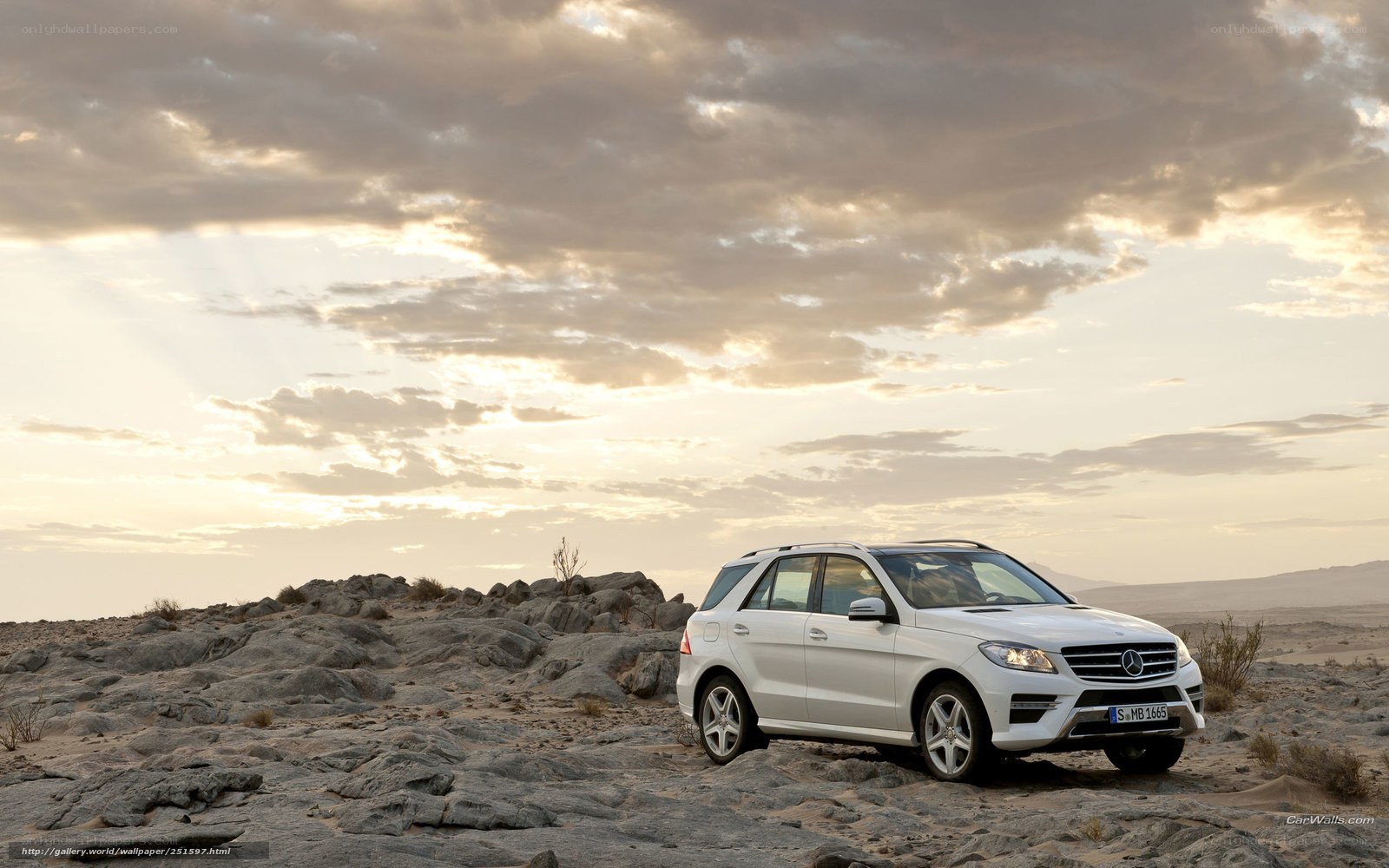 White SUV in desert landscape