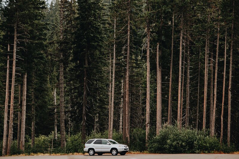 White SUV in forest