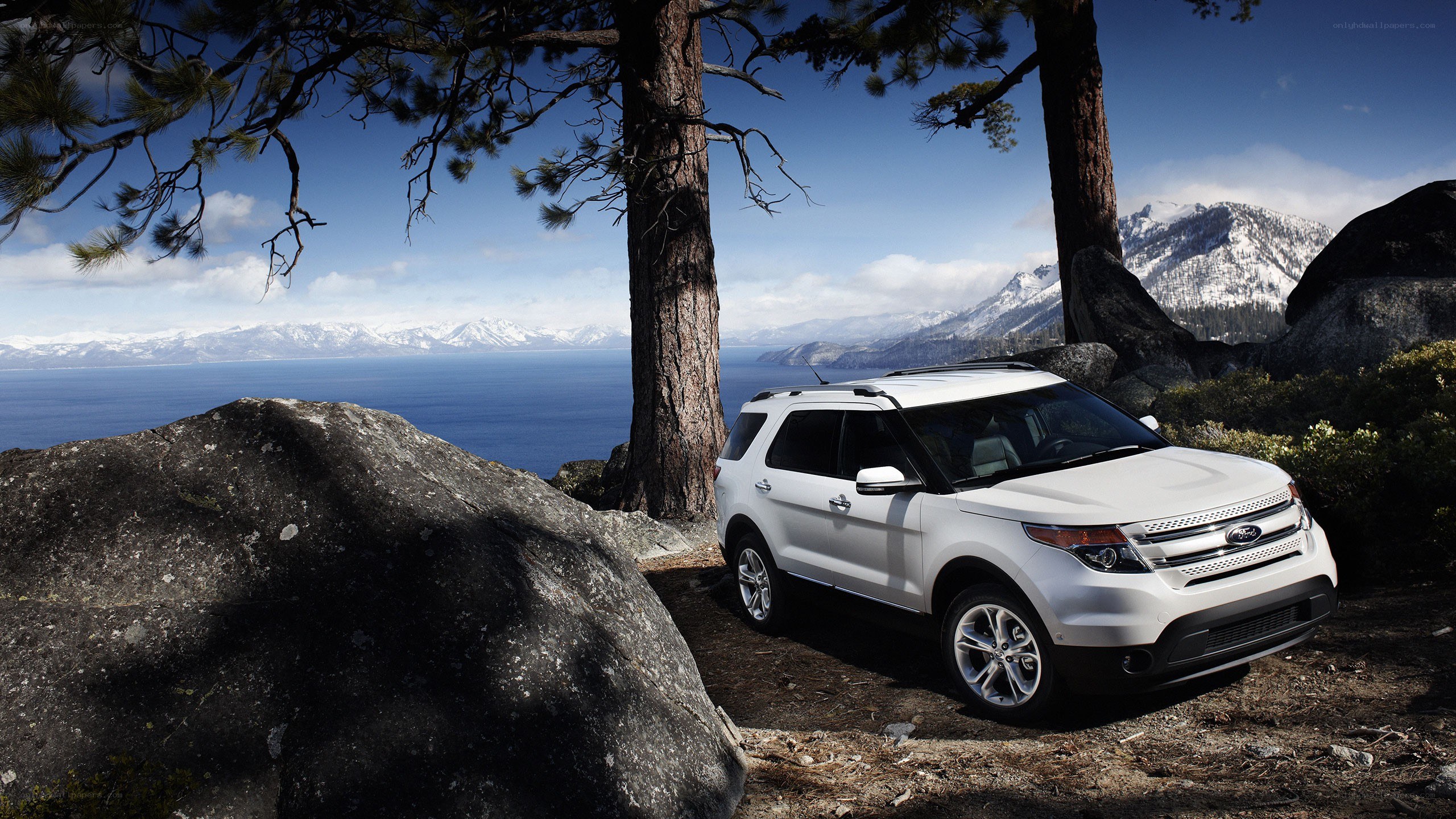 White SUV in mountain landscape