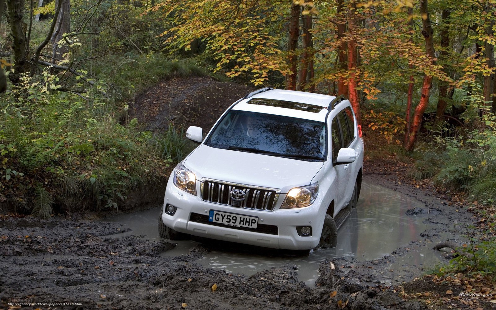 White SUV in muddy forest