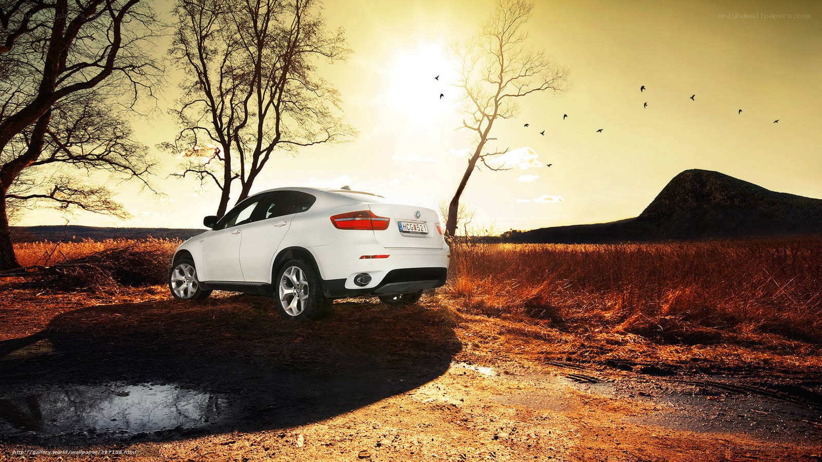 White SUV in sunset landscape