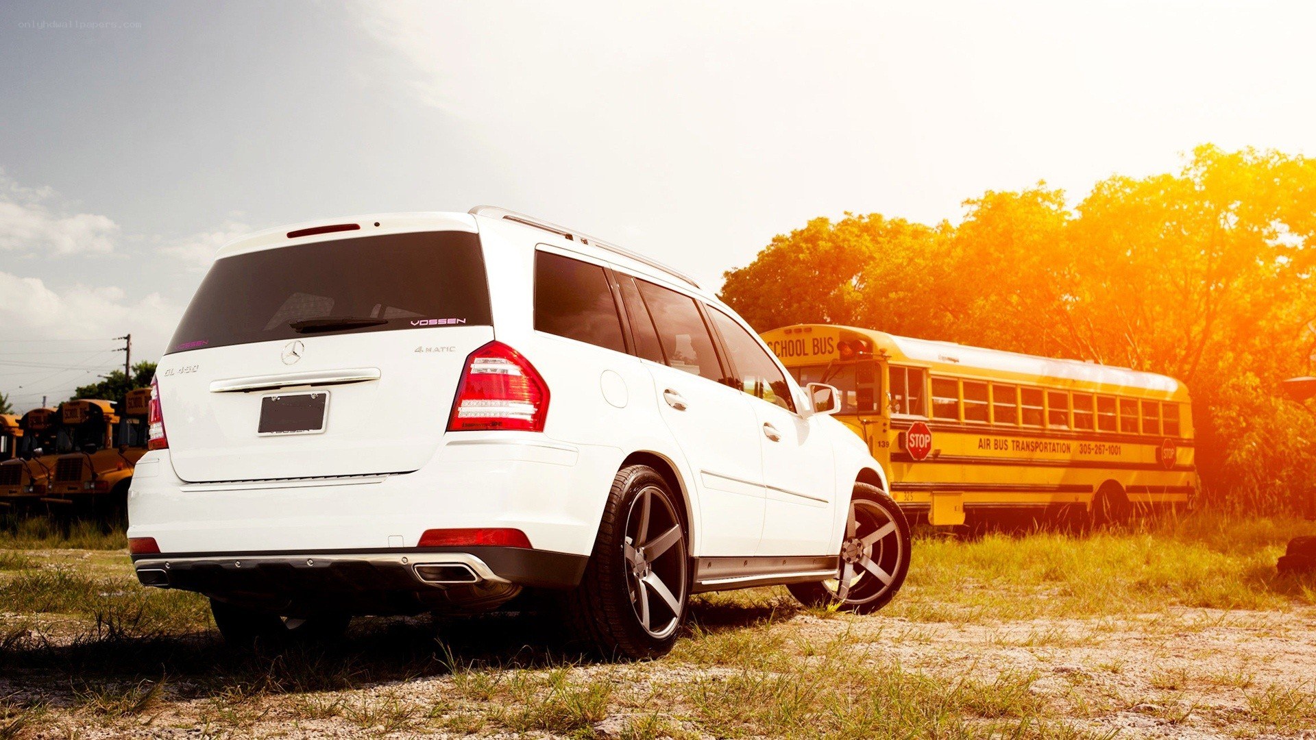 White SUV near school bus