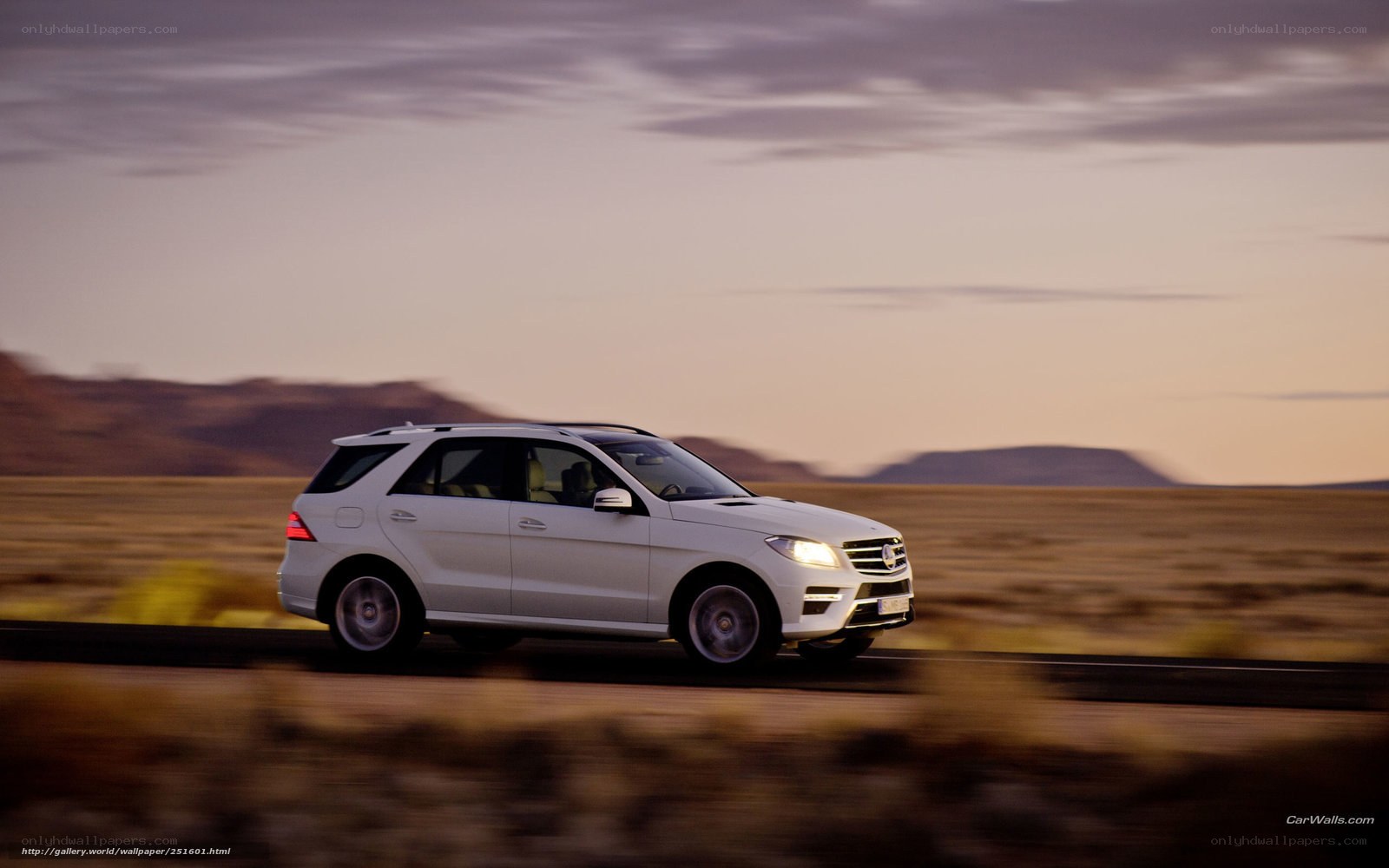 White SUV on desert road