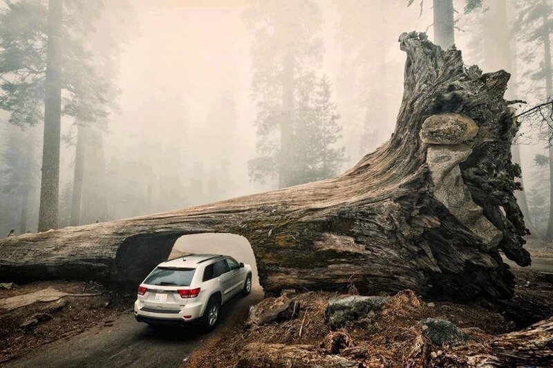 White SUV under Log
