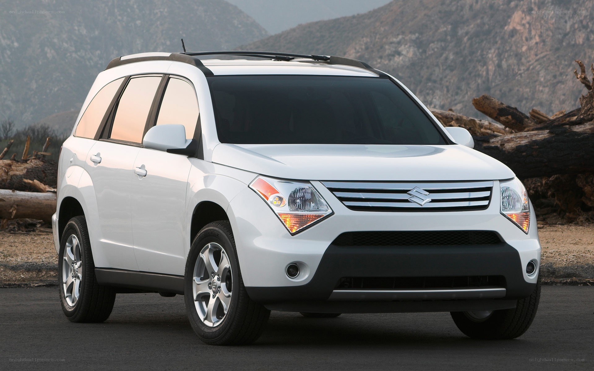 white suzuki grand vitara