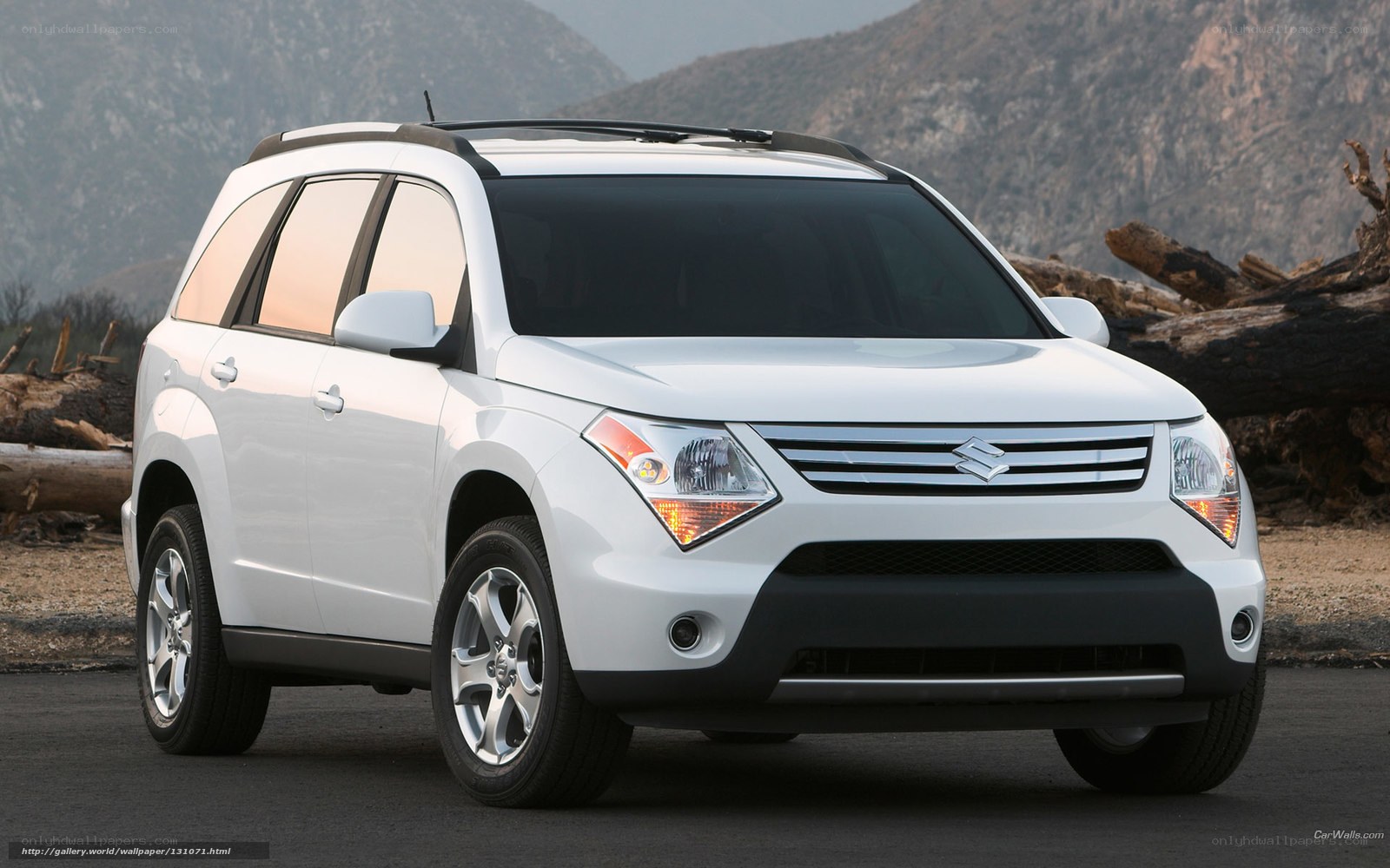 White Suzuki SUV in desert