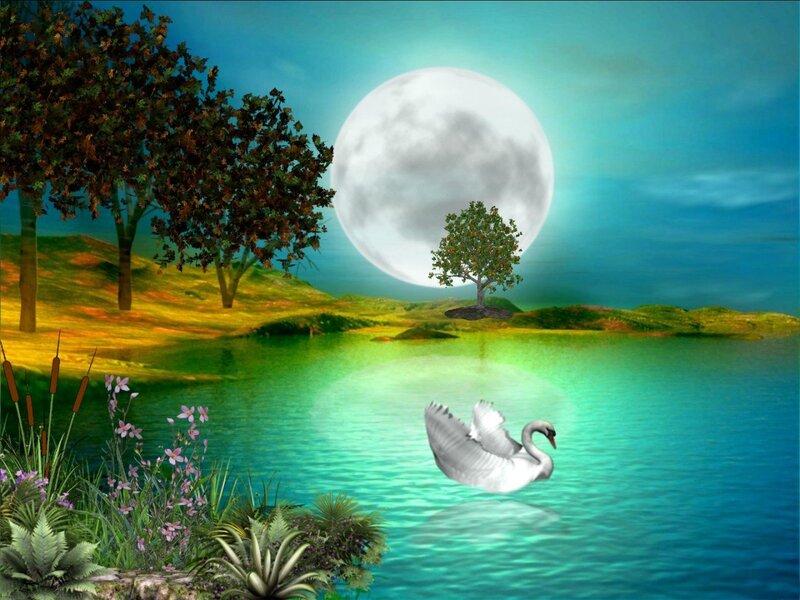 White Swan Flying — Blue, Serene