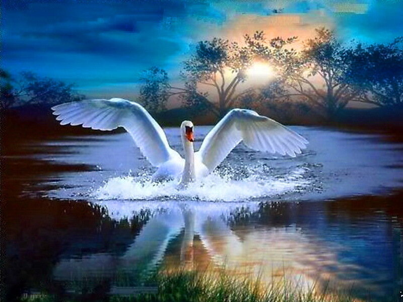 White Swan in Flight — Blue