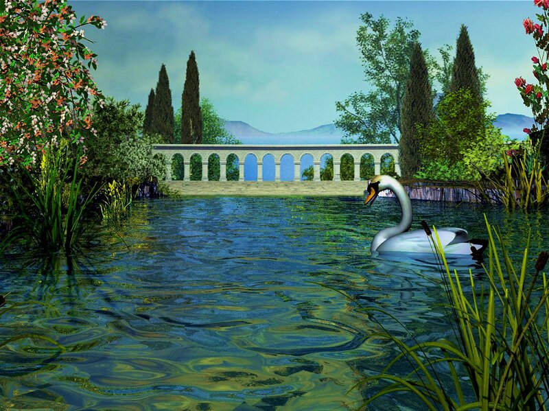 White Swan in Pond — Blue, Serene, Afternoon