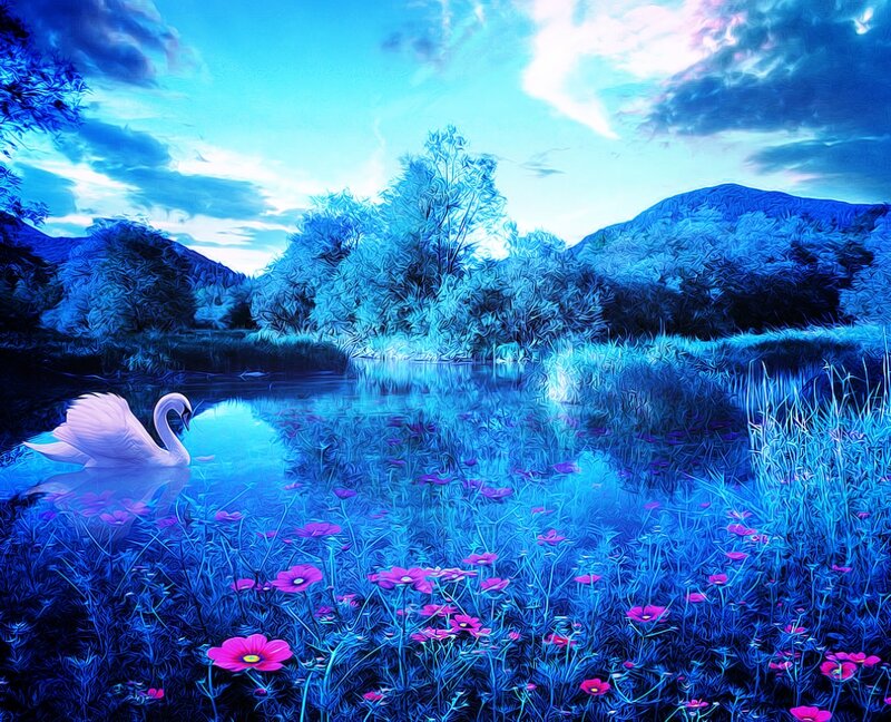 White Swan in Pond — Blue, Serene, Night