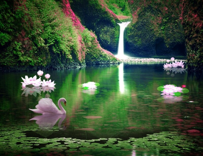 White Swan in Pond — Green, Serene, Digital Art
