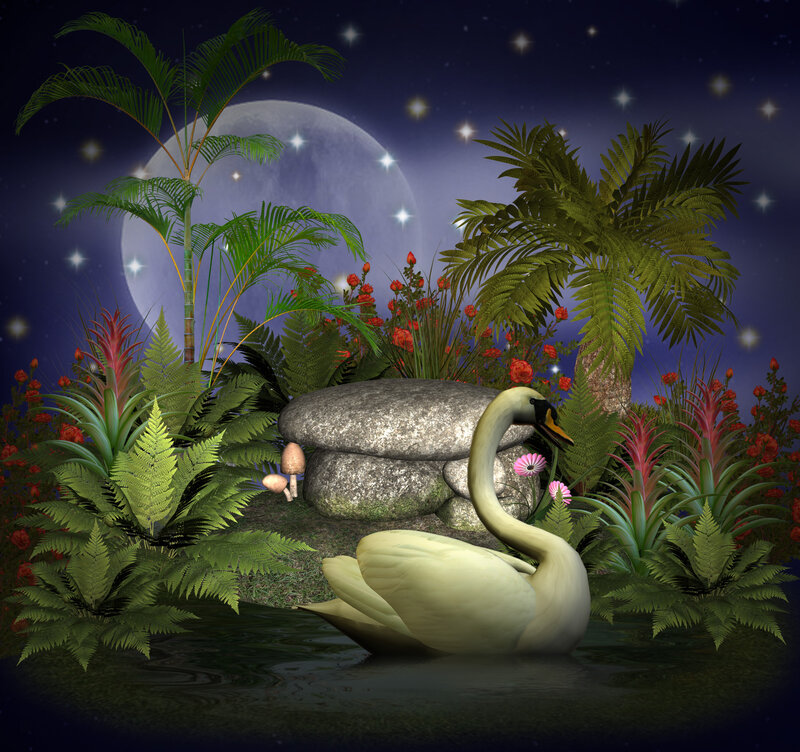 White Swan in Pond — Green, Serene, Night