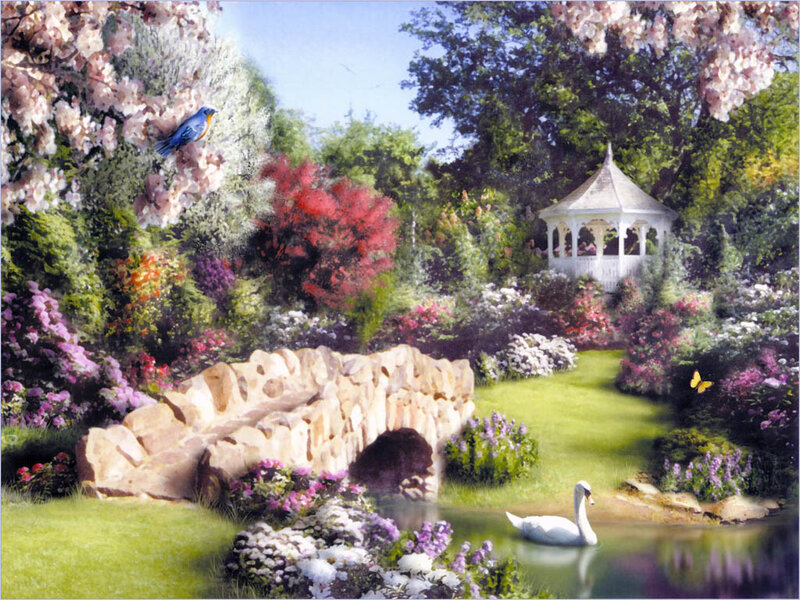 White Swan in Pond — Green, Serene, Spring