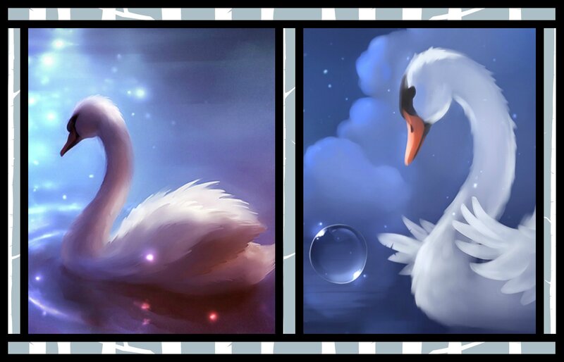 White Swan in Water — Blue, Serene, Night