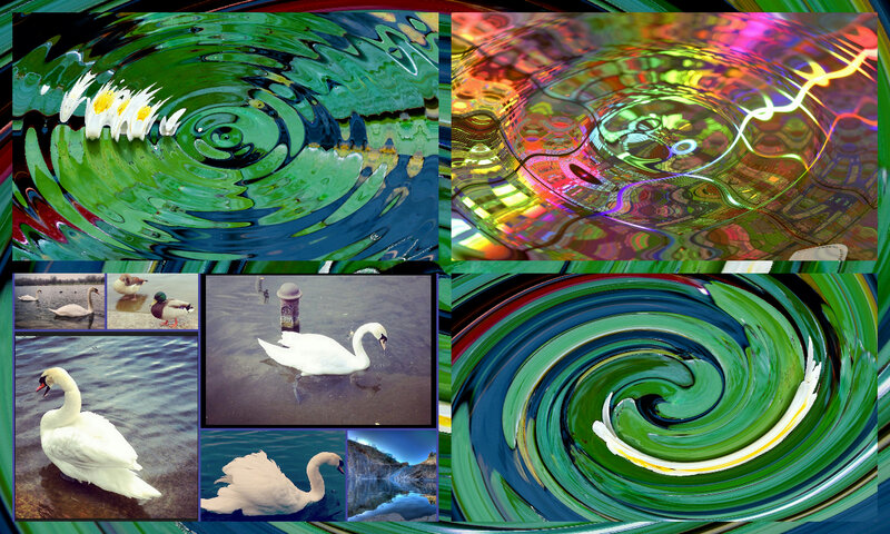 White Swan in Water — Green, Abstract