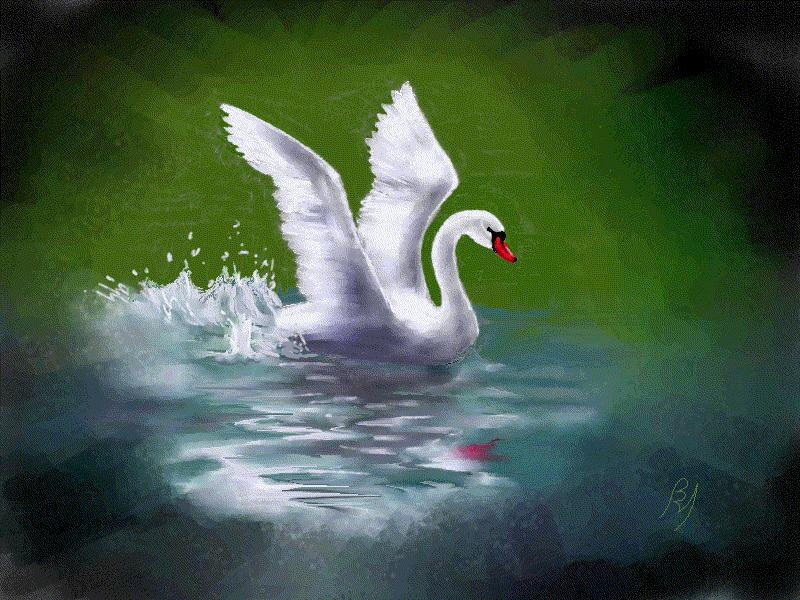 White Swan in Water — Green, Dynamic