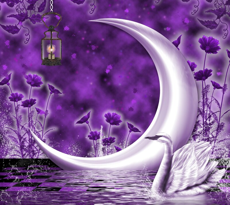 White Swan in Water — Purple, Dreamy