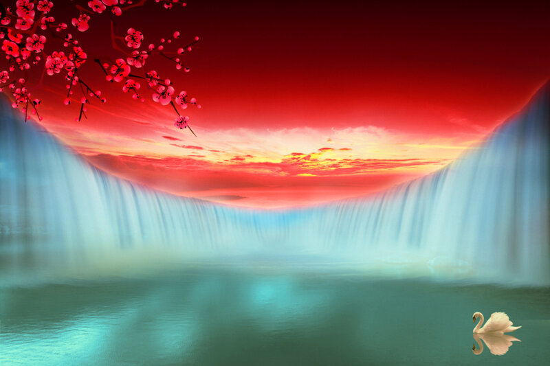 White Swan in Water — Red
