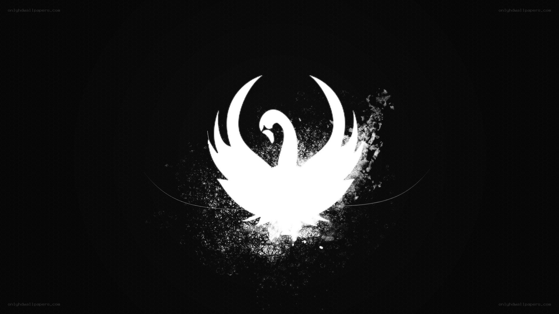 white swan logo on black background