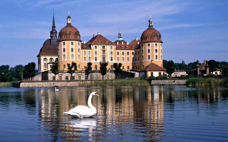 White Swan on Lake — Blue, Serene, Afternoon, Photograph, Castle, Trees, Sky