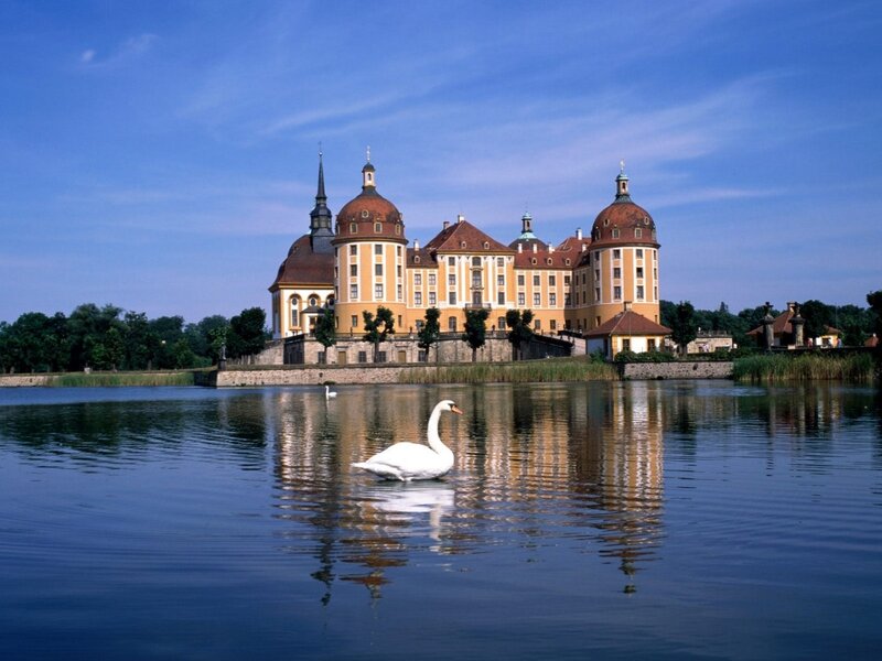 White Swan on Lake — Blue, Serene, Afternoon, Photograph, Castle, Trees