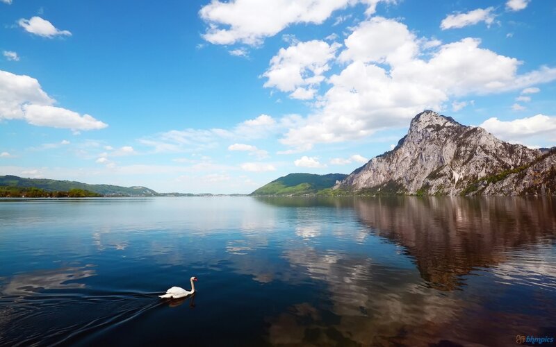 White Swan on Lake — Blue, Serene, Afternoon, Photograph, Mountain, Clouds