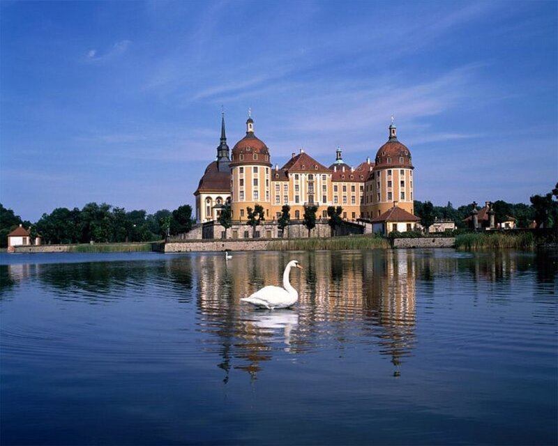 White Swan on Lake — Blue, Serene, Afternoon, Photograph
