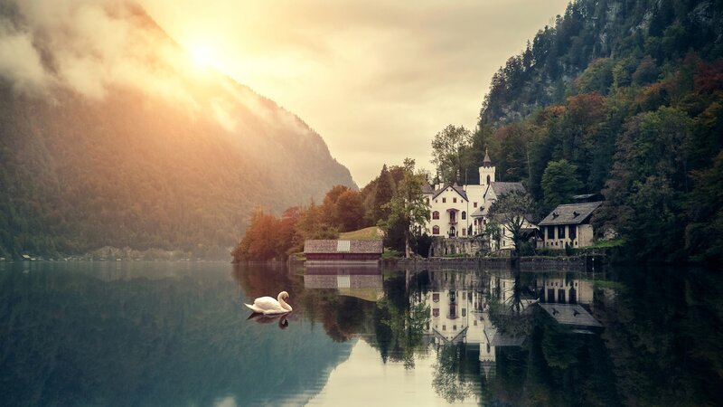 White Swan on Lake — Blue, Serene, Sunrise