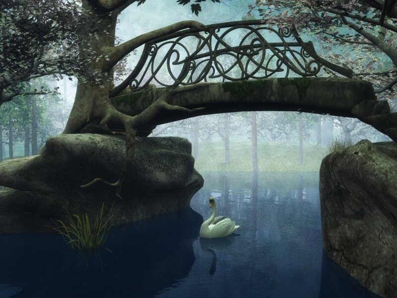 White Swan on Pond — Blue, Serene, Morning