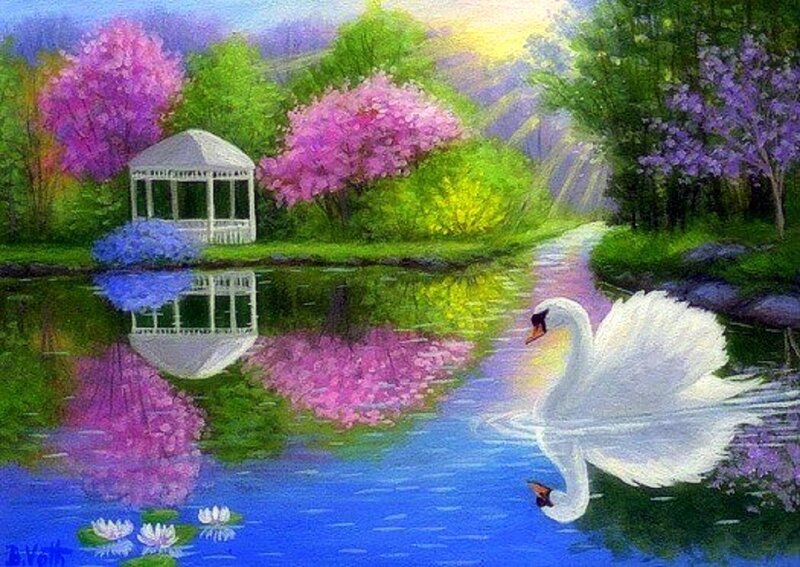 White Swan on Pond — Blue, Serene, Spring