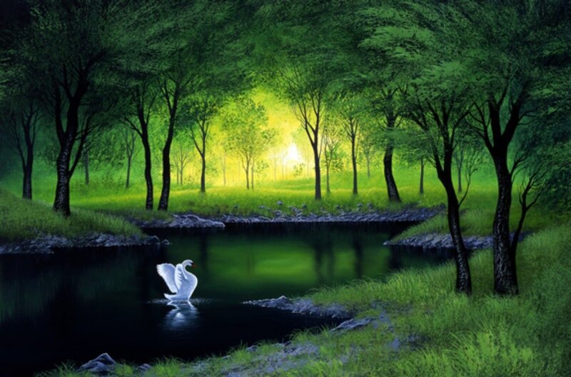 White Swan on Pond — Green, Serene